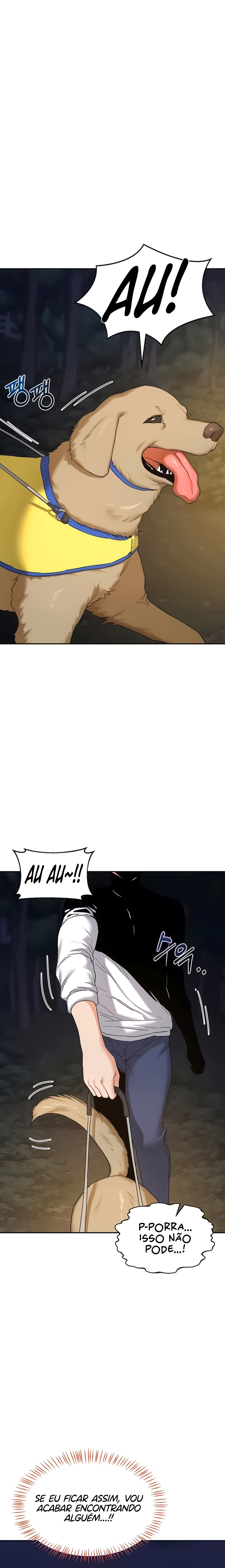 Pagina 12