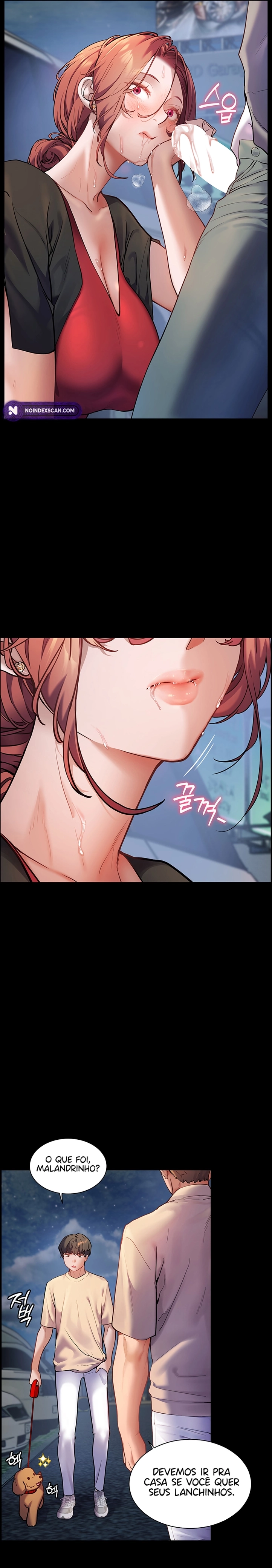 Pagina 29