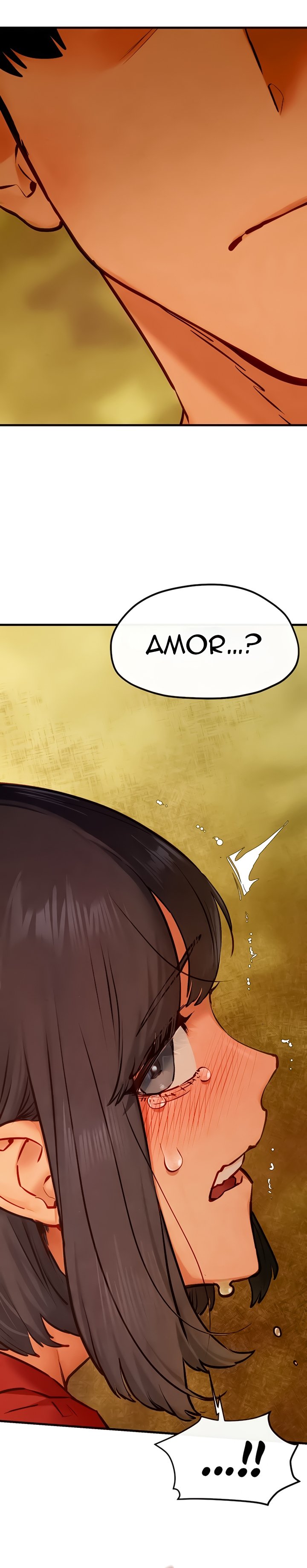 Pagina 31
