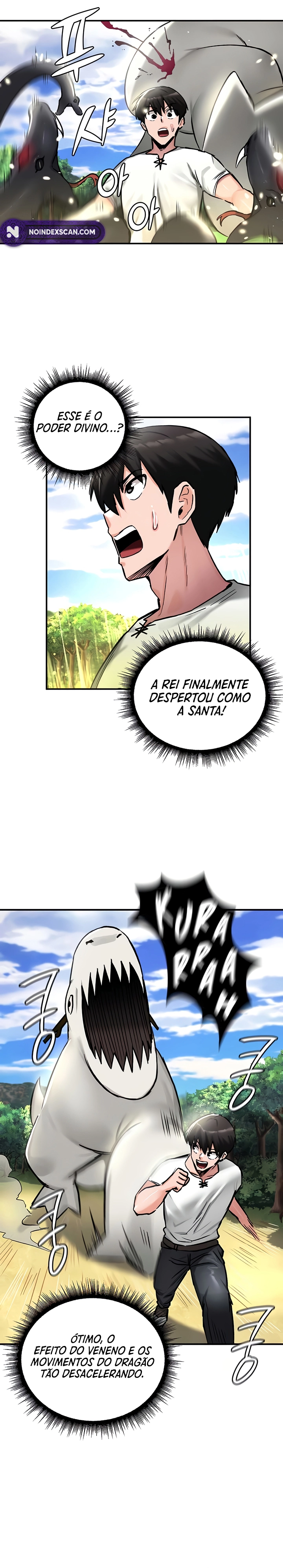 Pagina 11