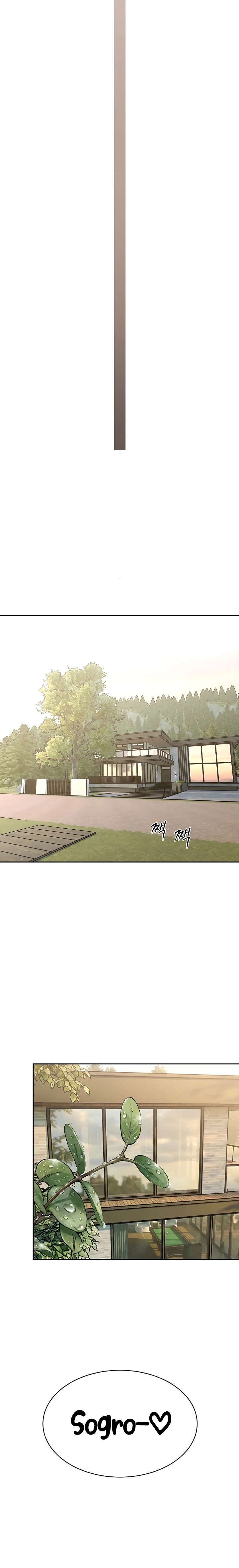 Pagina 17