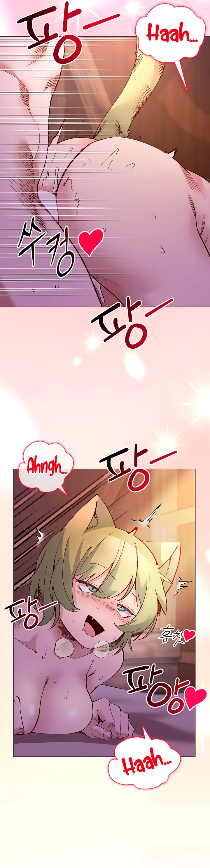 Pagina 26