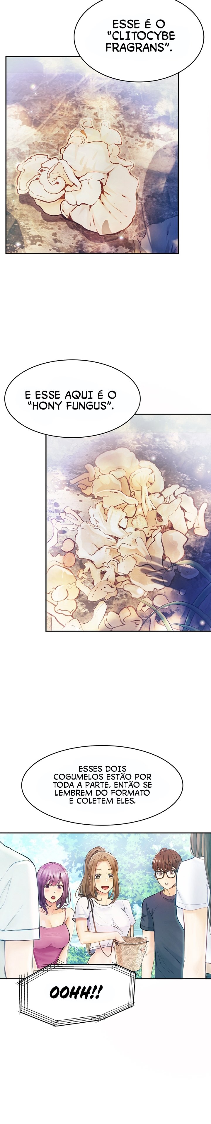 Pagina 22