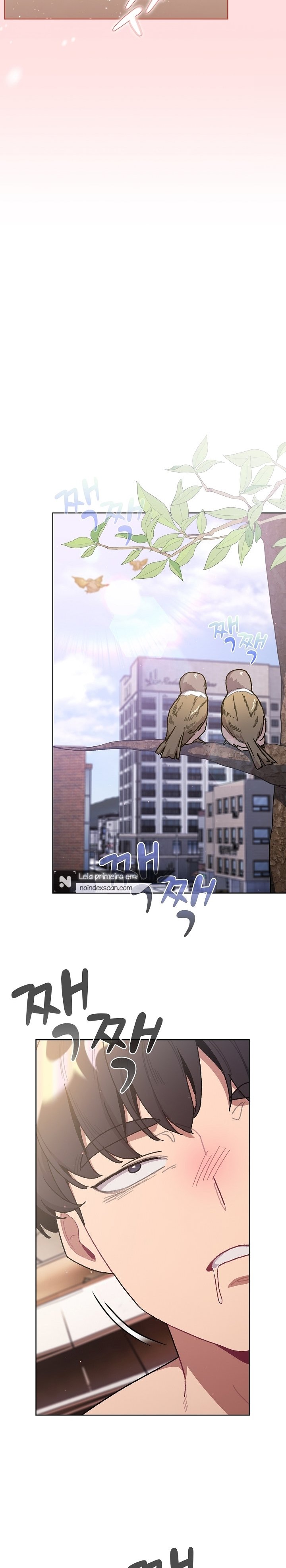 Pagina 29
