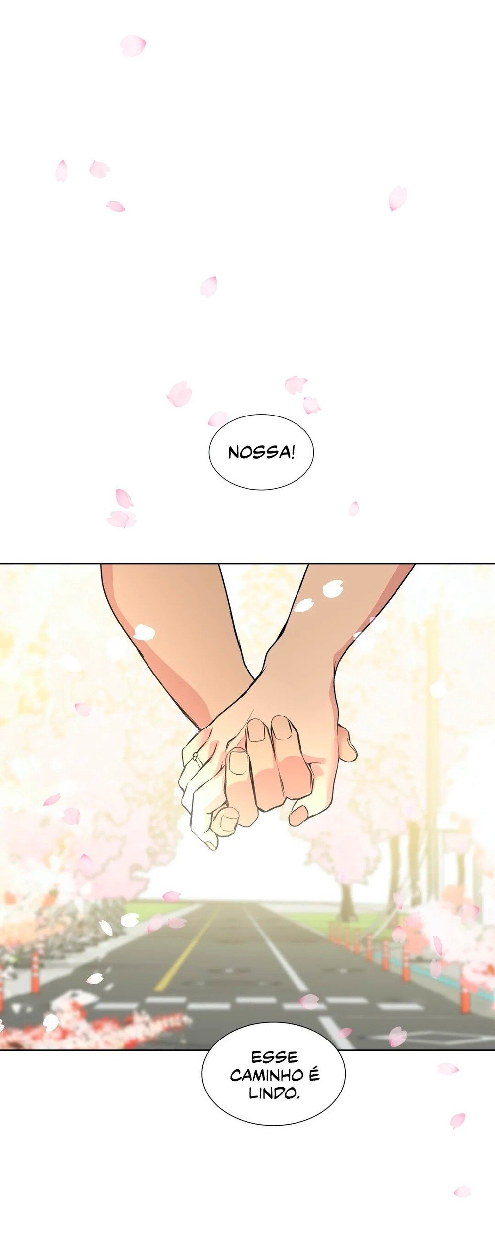 Pagina 8