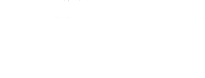Pagina 71